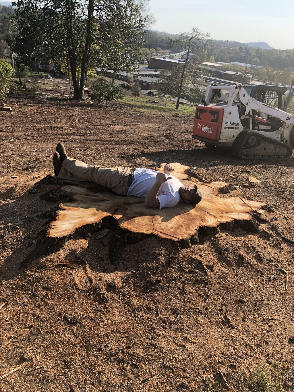 Tree Trimming and Removal