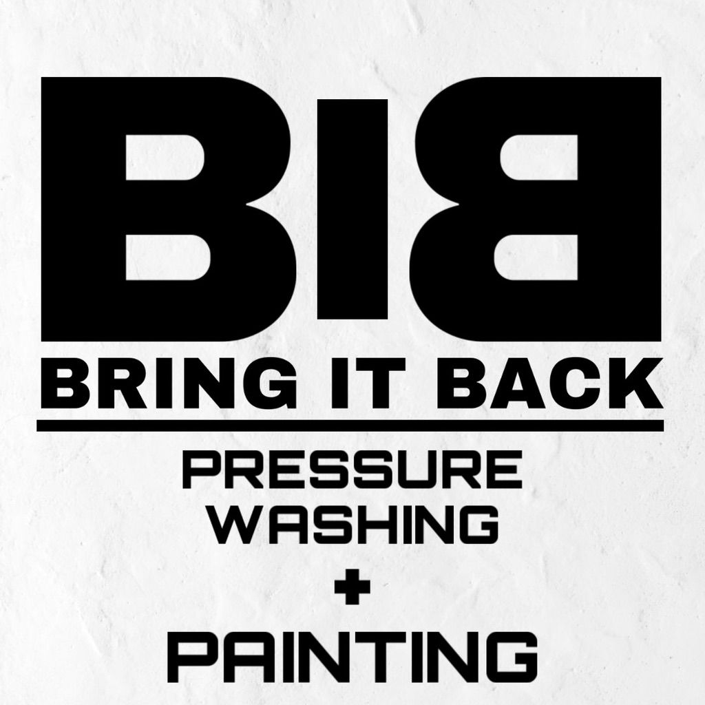 Bring It Back Pressure Washing + Painting