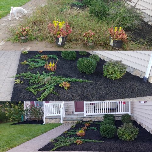 Flower Bed Clear of weeds and Mulching
