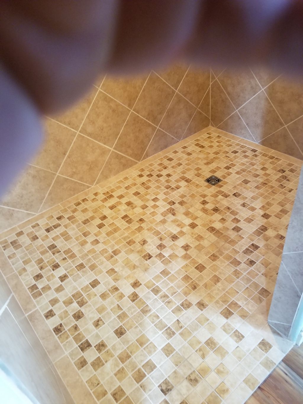 handicap shower