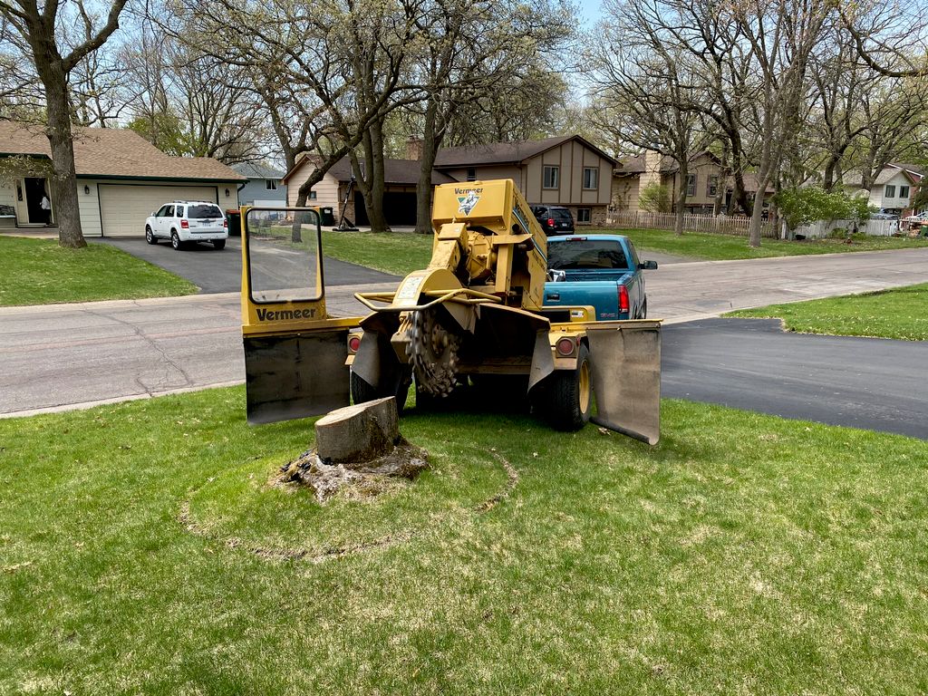 ellicott city tree removal, Lindale TX