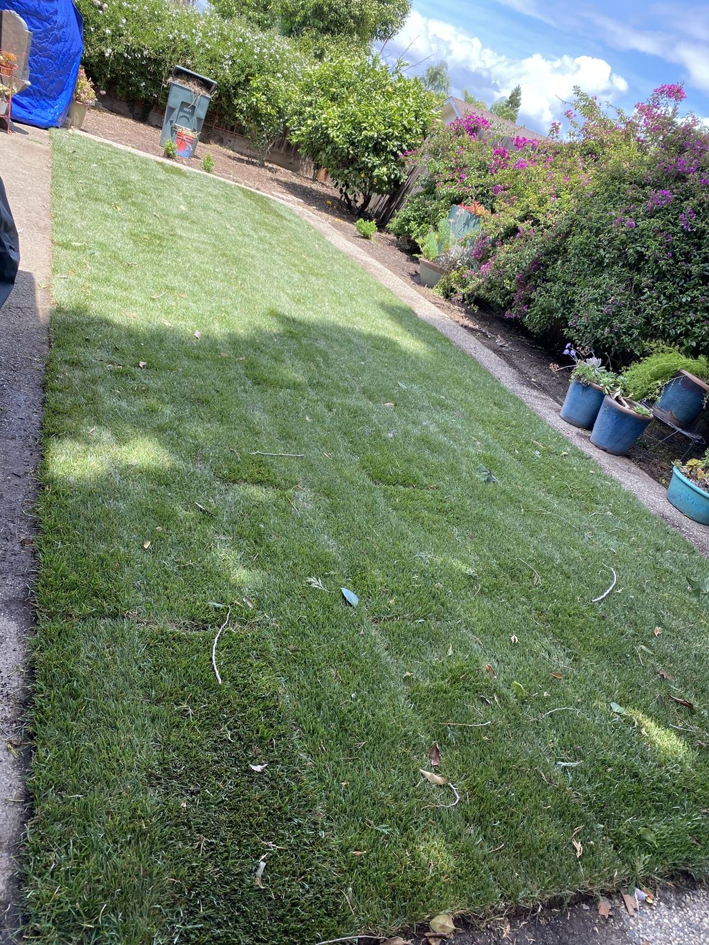 Sod Installation