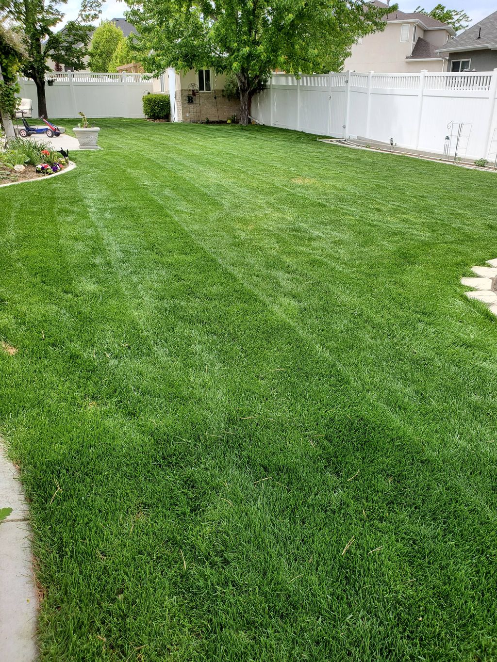 Backyard (After)