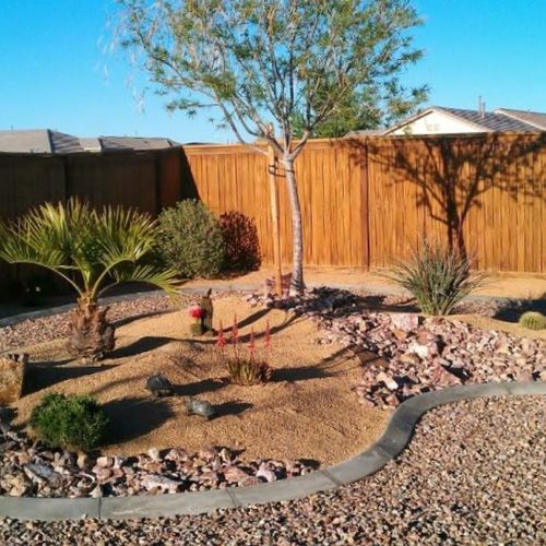Desert Landscaped backyard