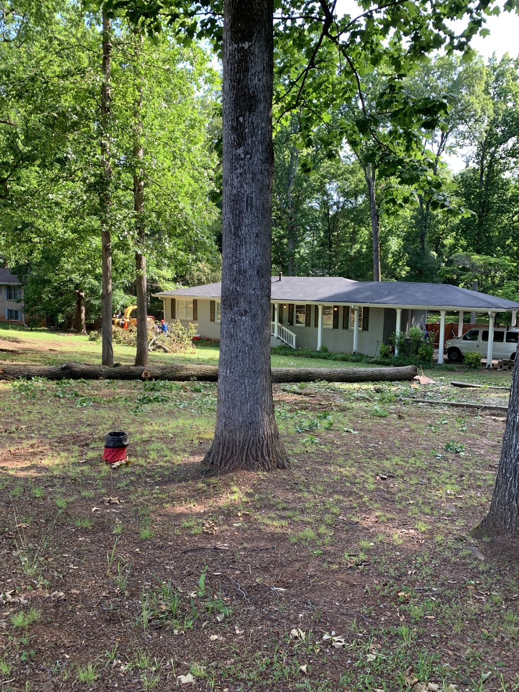 Tree Trimming and Removal