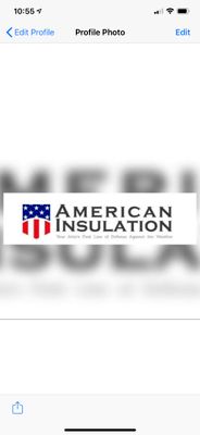 Avatar for American Insulation