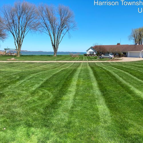 Elegant Lawn Care Llc Saint Clair Shores, MI Thumbtack