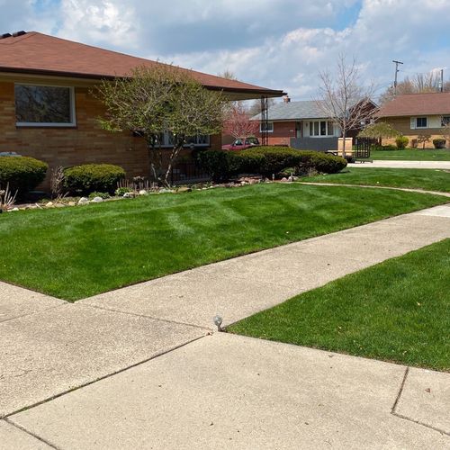 Elegant Lawn Care Llc Saint Clair Shores, MI Thumbtack