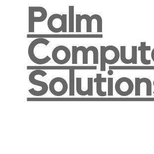 Palm Computer Solutions