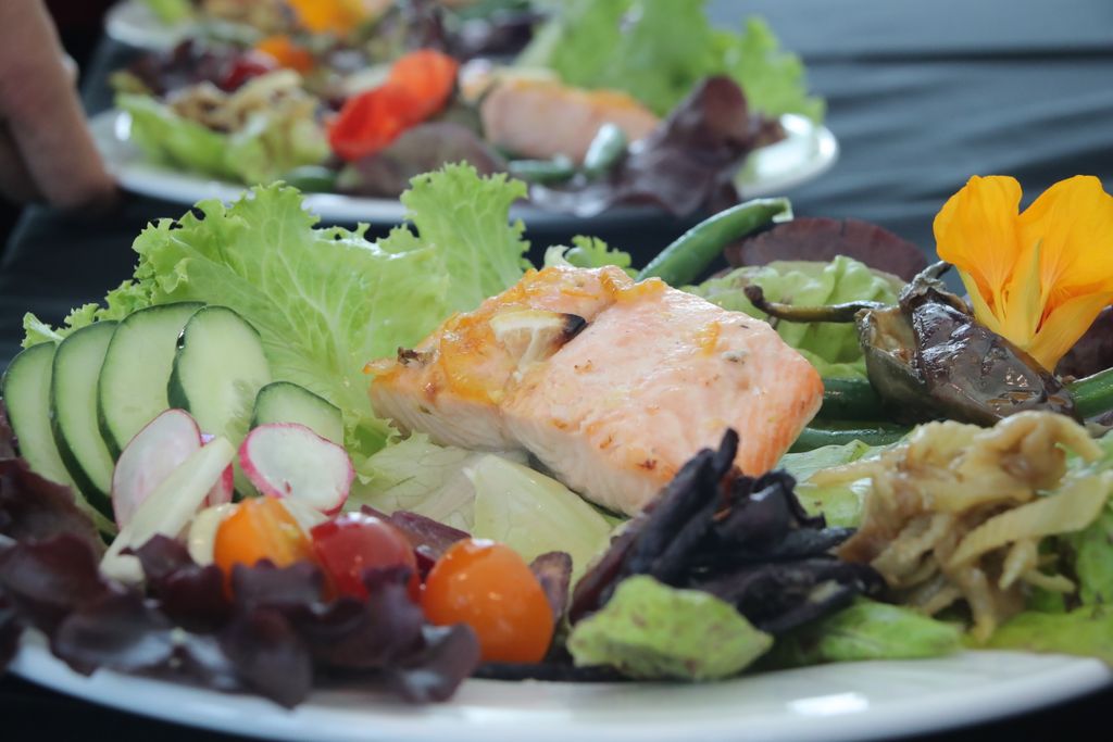 Citrus Glazed Salmon over Fresh Local Green Salad 