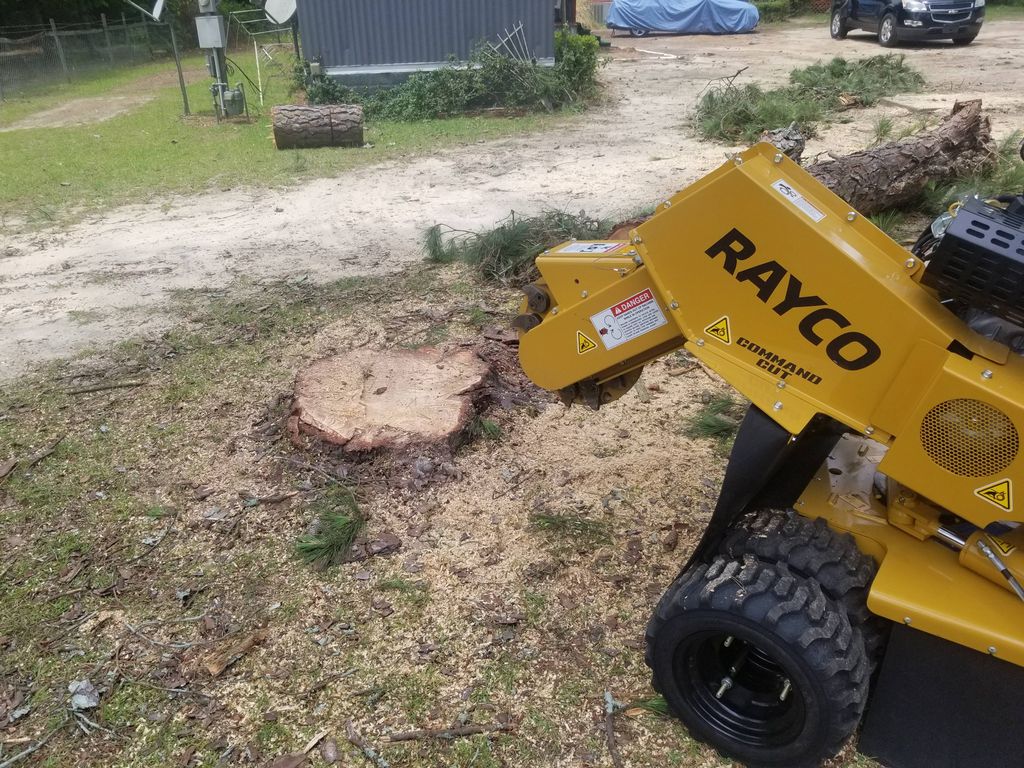 2.5ft stump before 