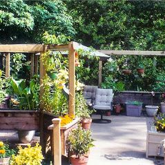 Moms Raised Garden