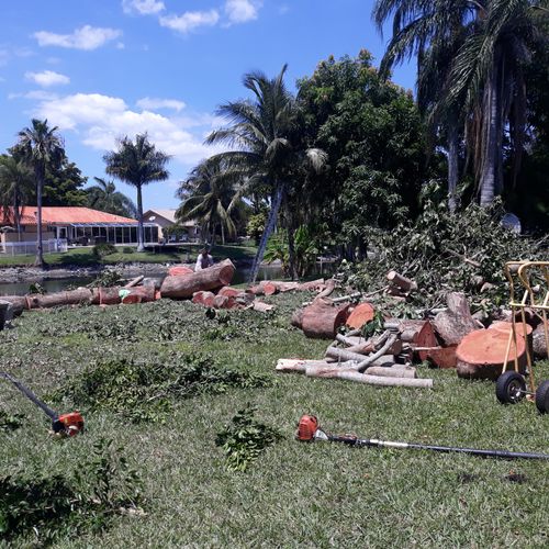 Stump Grinding in Pembroke Pines, FL - Costs %MONTH% / 2021 - homeyou