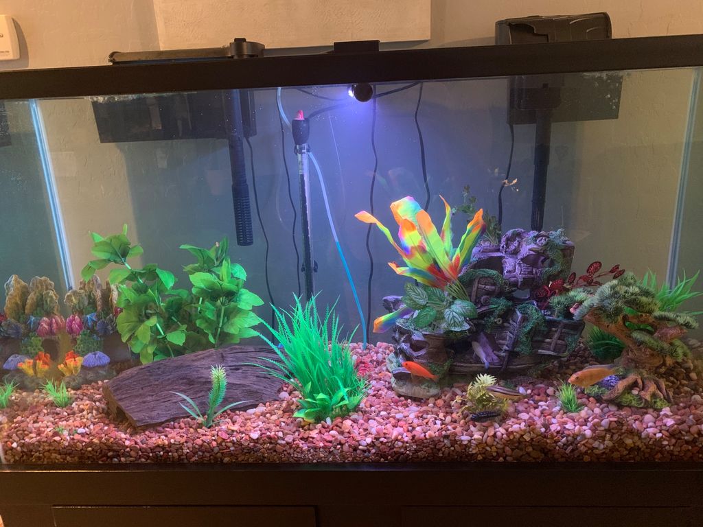 Customer photos