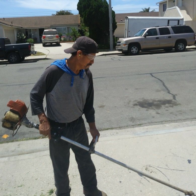 Benjamin Landscaping