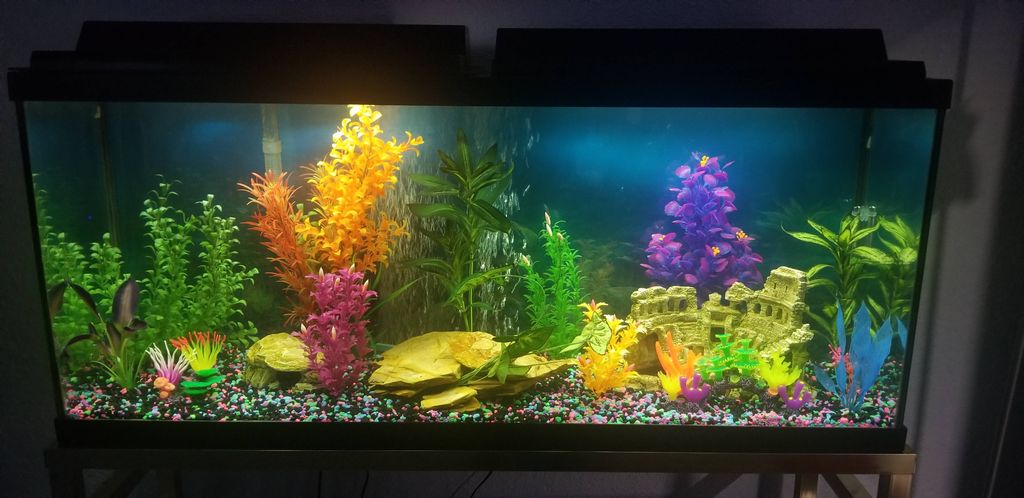 Customer photos