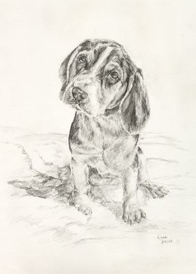 graphite pencil drawing