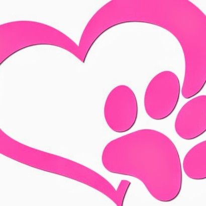 Paws in Motion