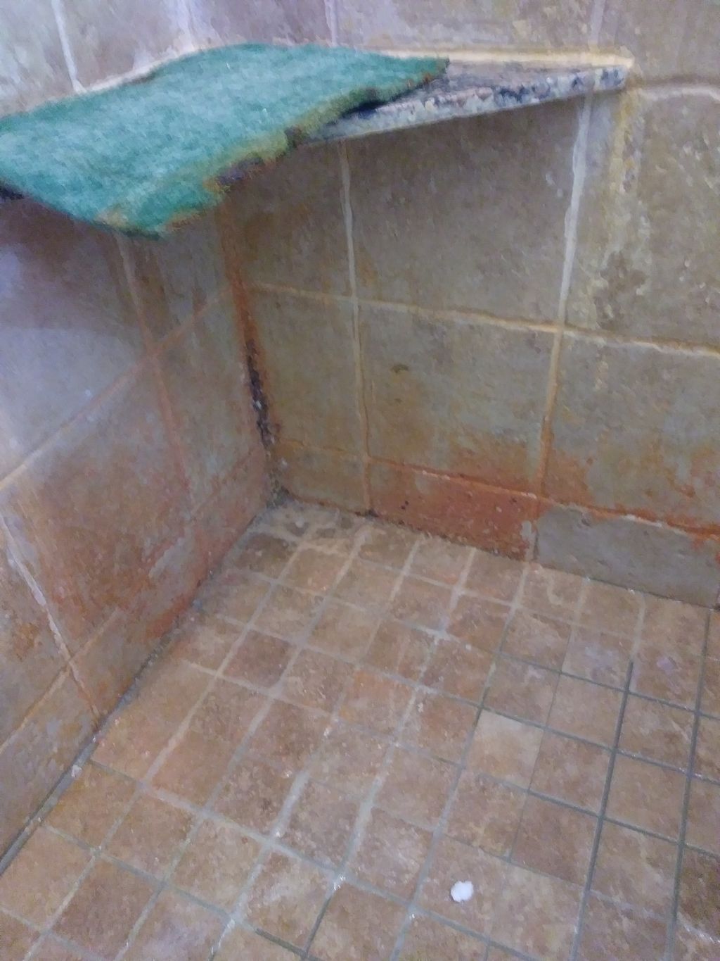 Tile and Grout Cleaning