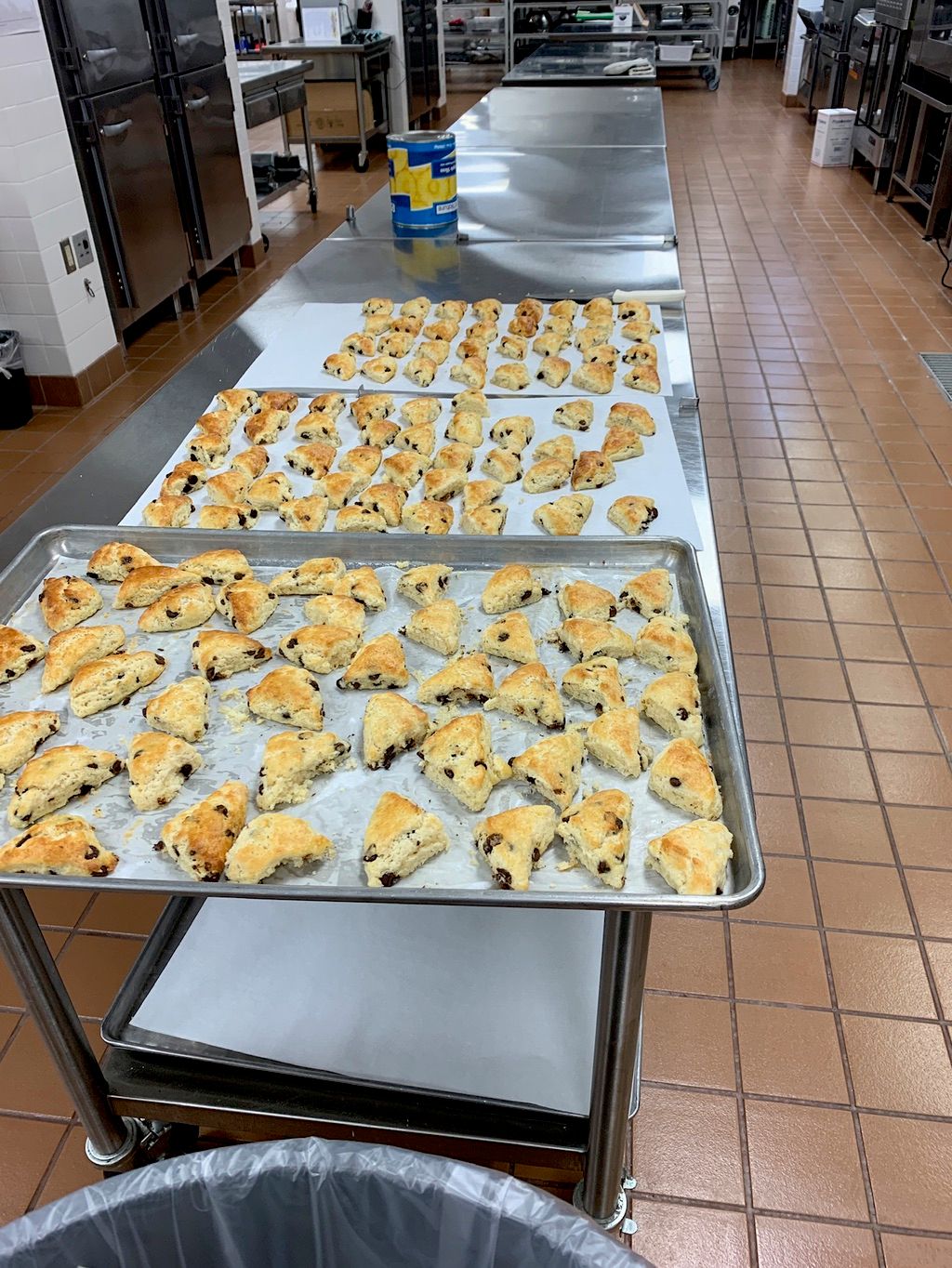 Mini scones for 300!