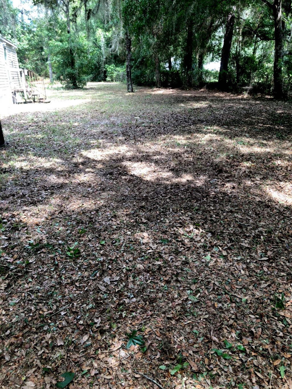 Yard cleanup 