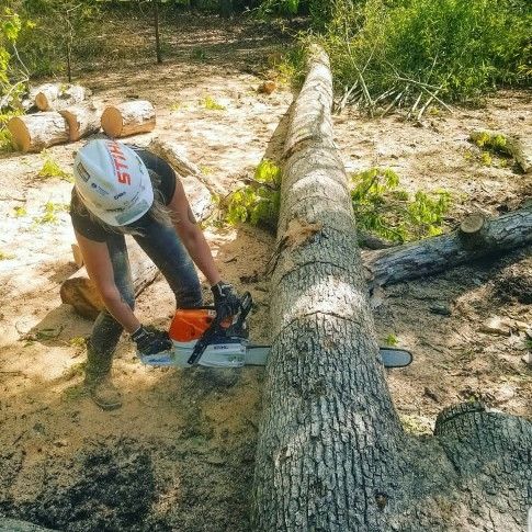 Apex Tree Solutions Llc Richmond Va Apex Tree Solutions Llc Richmond Va