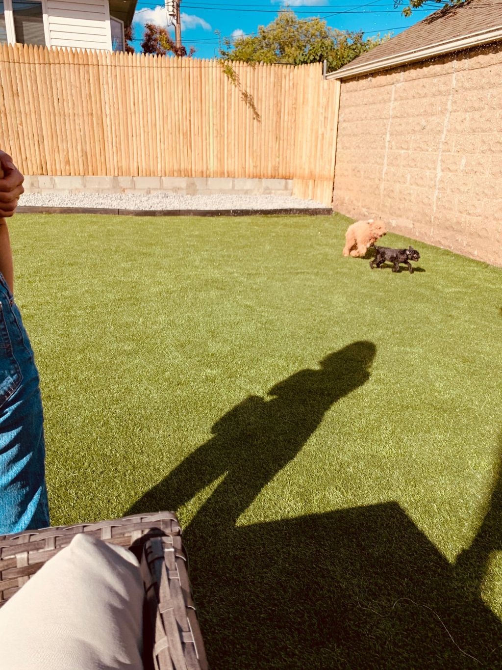 Customer photos