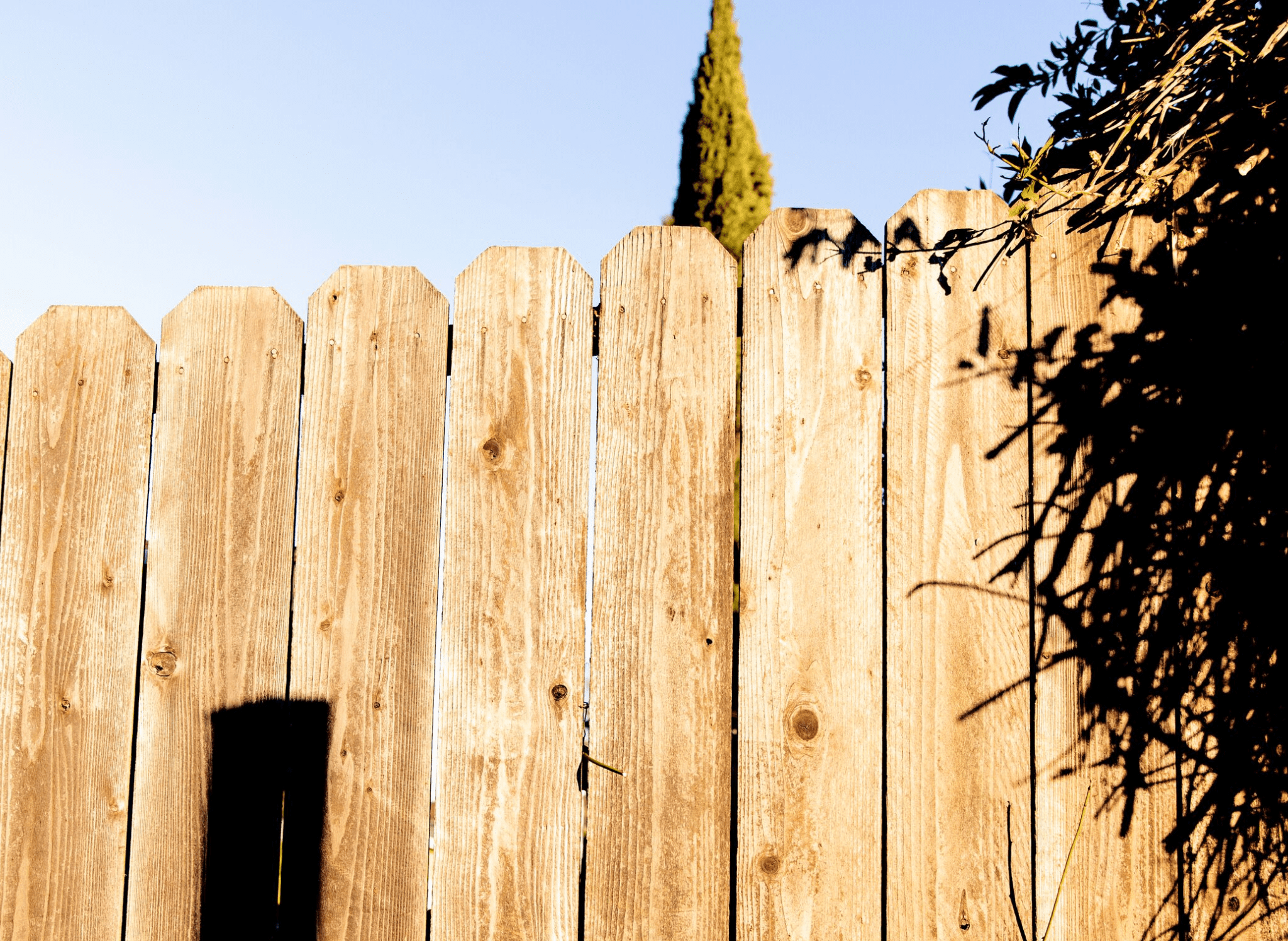 wood fence cost