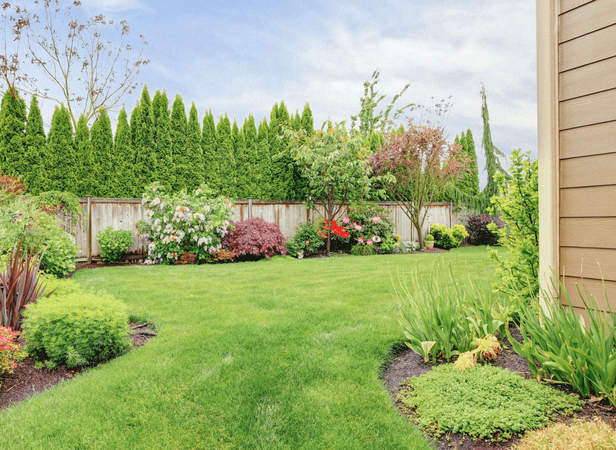 How To Landscape Your Yard