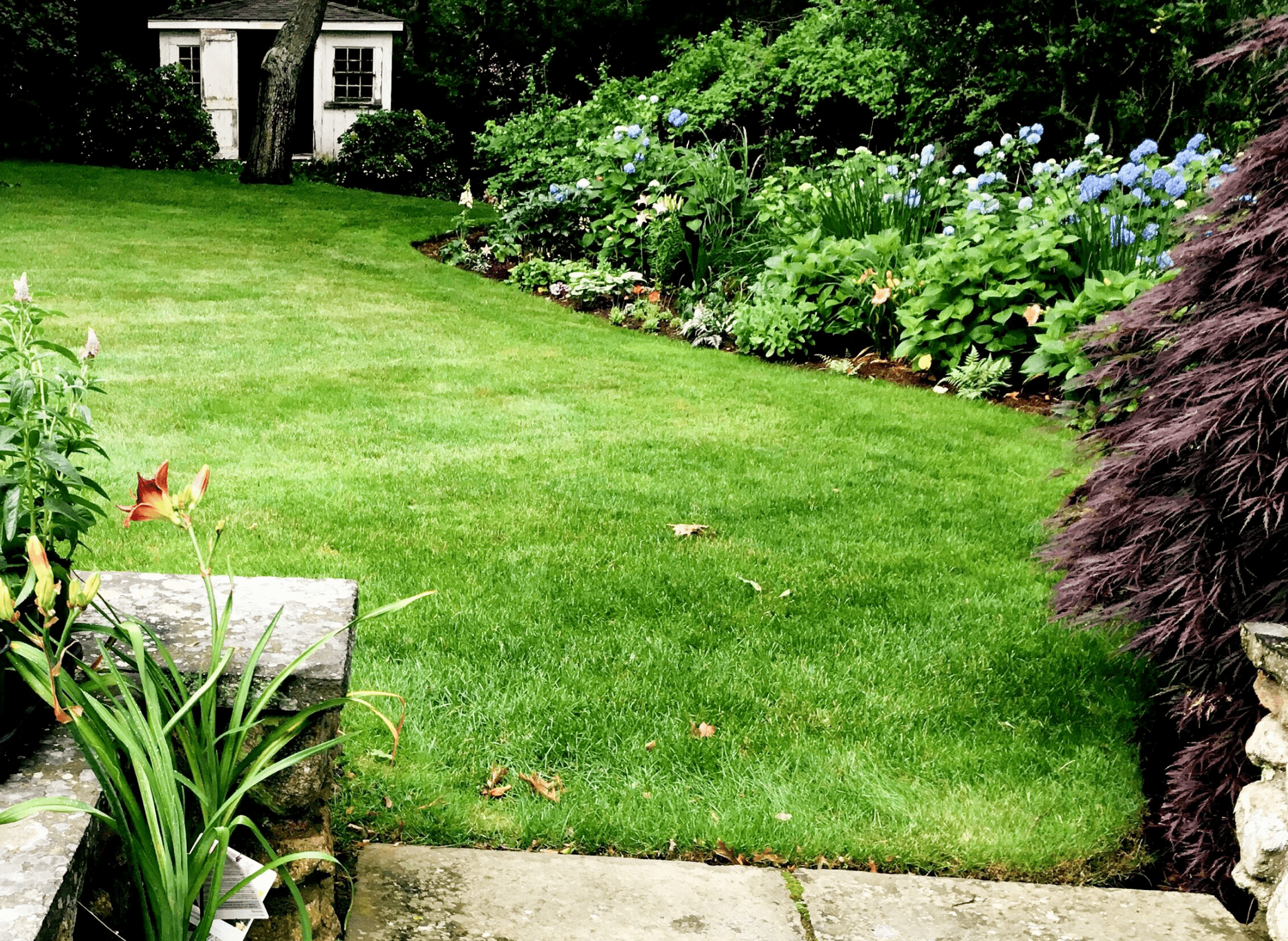 2022 Landscaping Cost Avg, How Much Does It Cost To Re Landscape A Yard