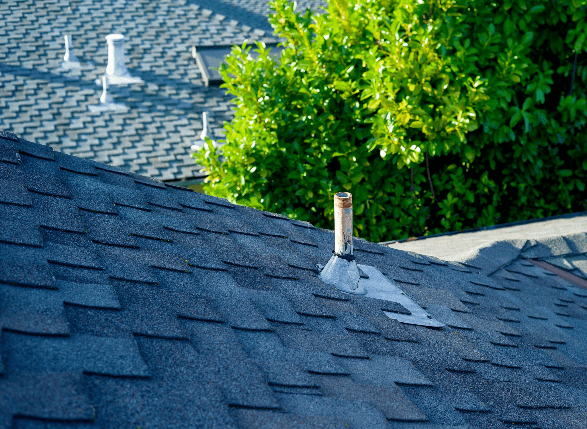 asphalt shingle roof