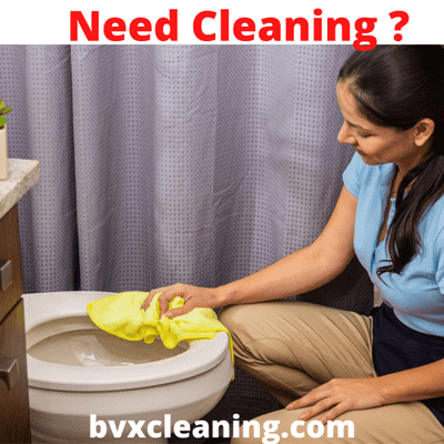 Avatar for BVX Cleaning