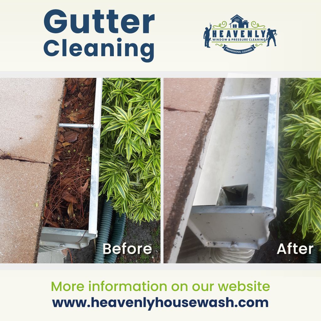 Gutter Cleaning