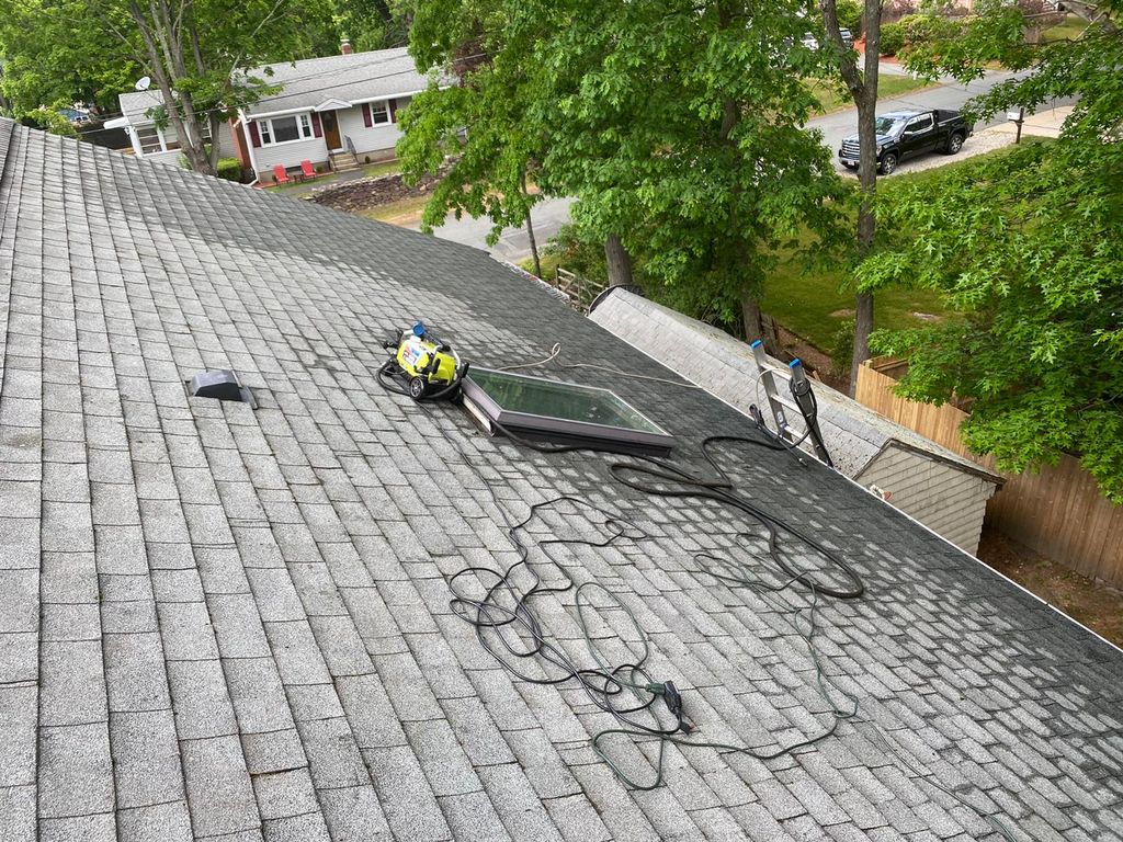 Roof Cleaning