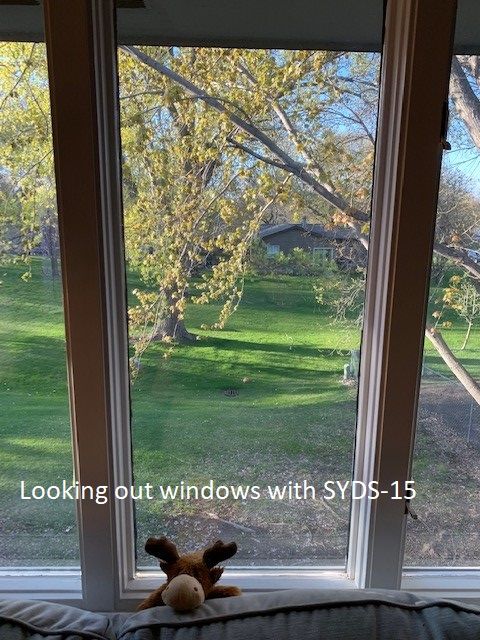 Looking out windows with privacy film, SYDS-15, in