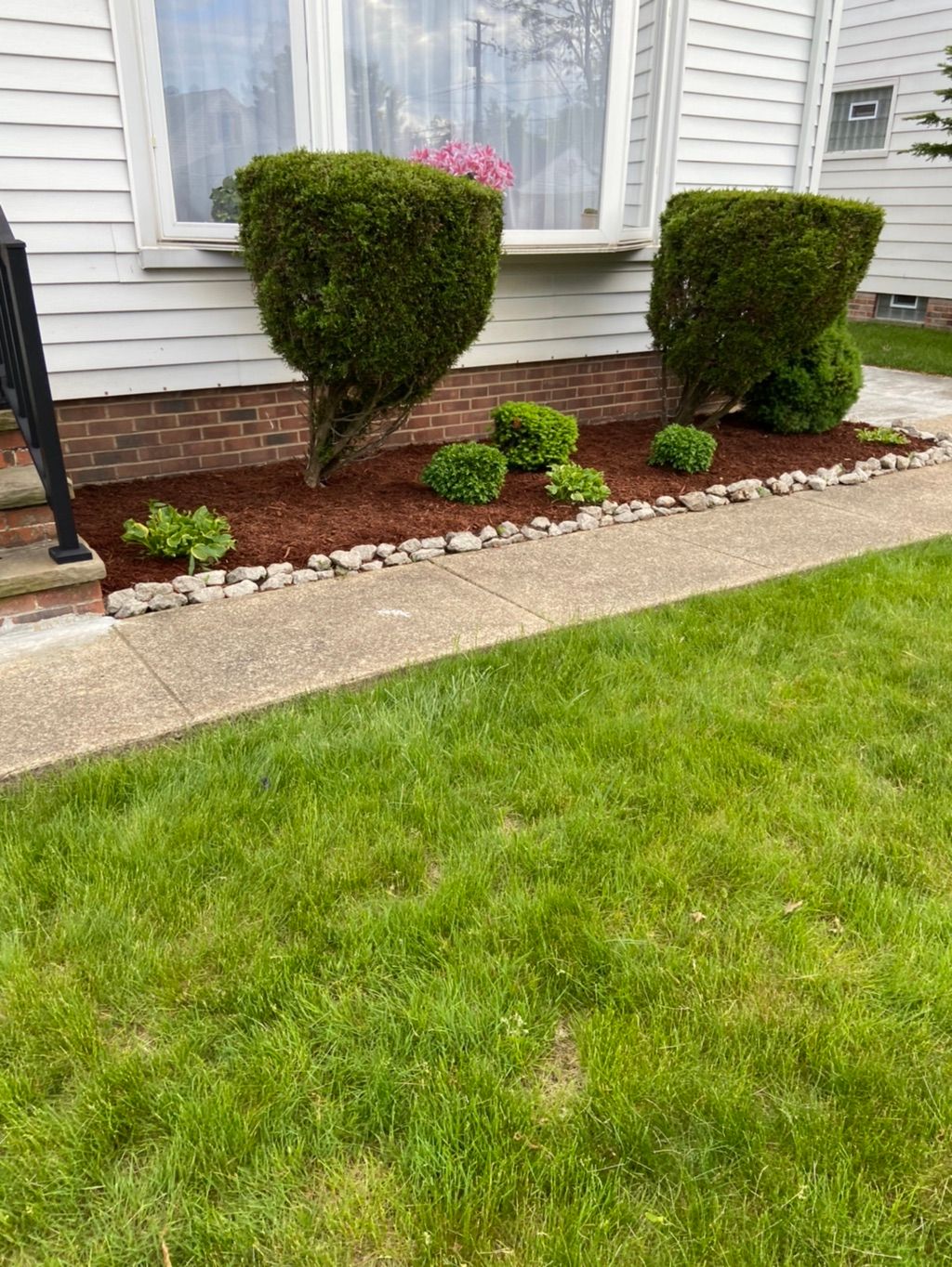 Red Mulch 💯