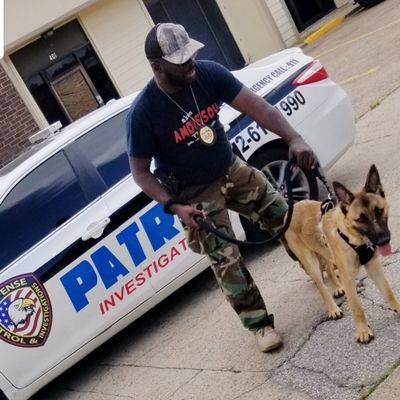 Avatar for Defense Patrol & Investigations. LLC