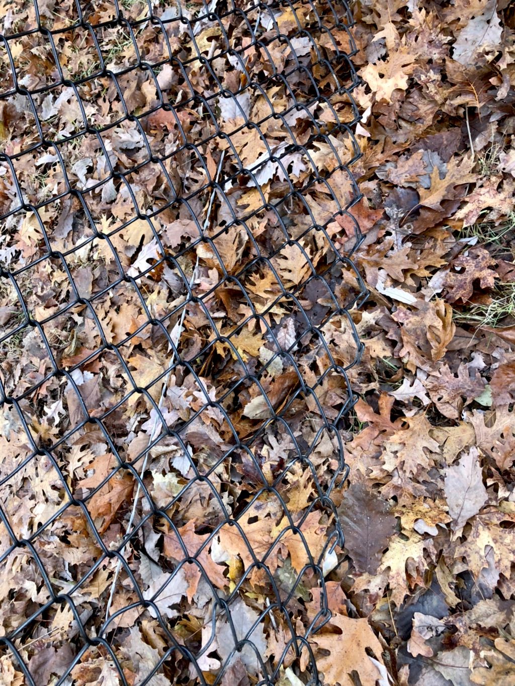 The end of Fall and the beginning of Winter is the