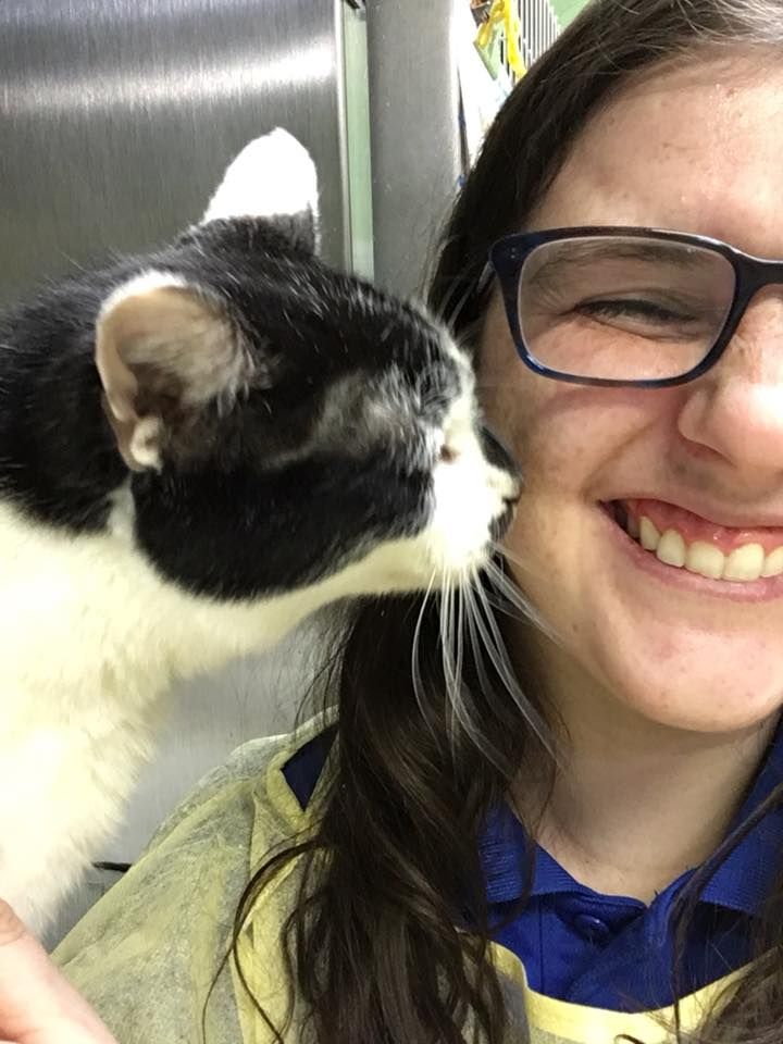 A friendly kitty at the animal shelter I volunteer