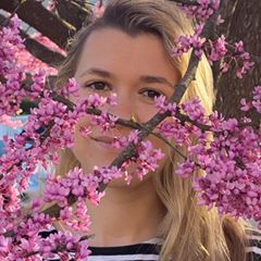 pro avatar