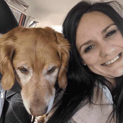 boston's best dog walkers