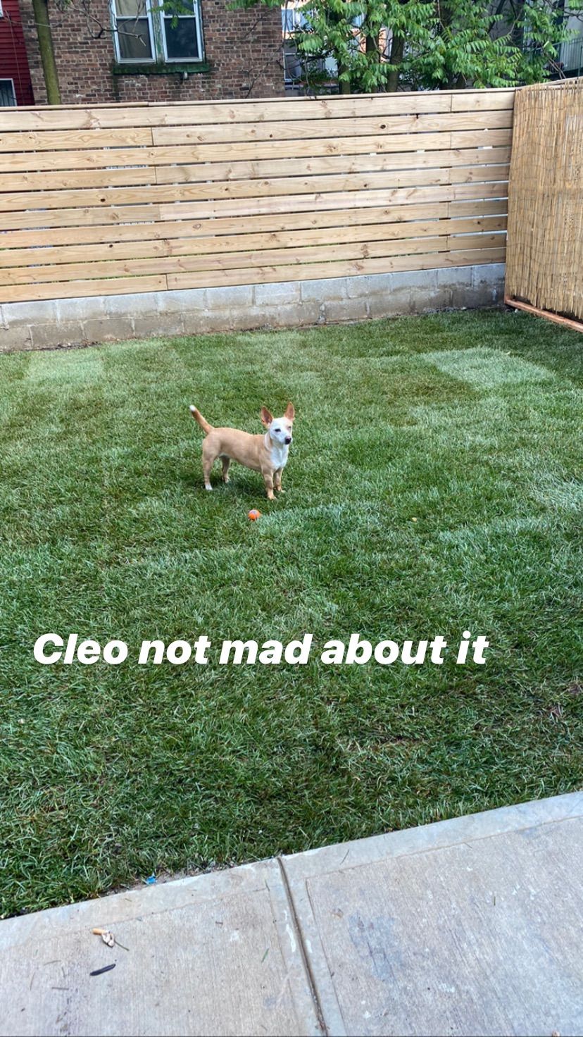Customer photos