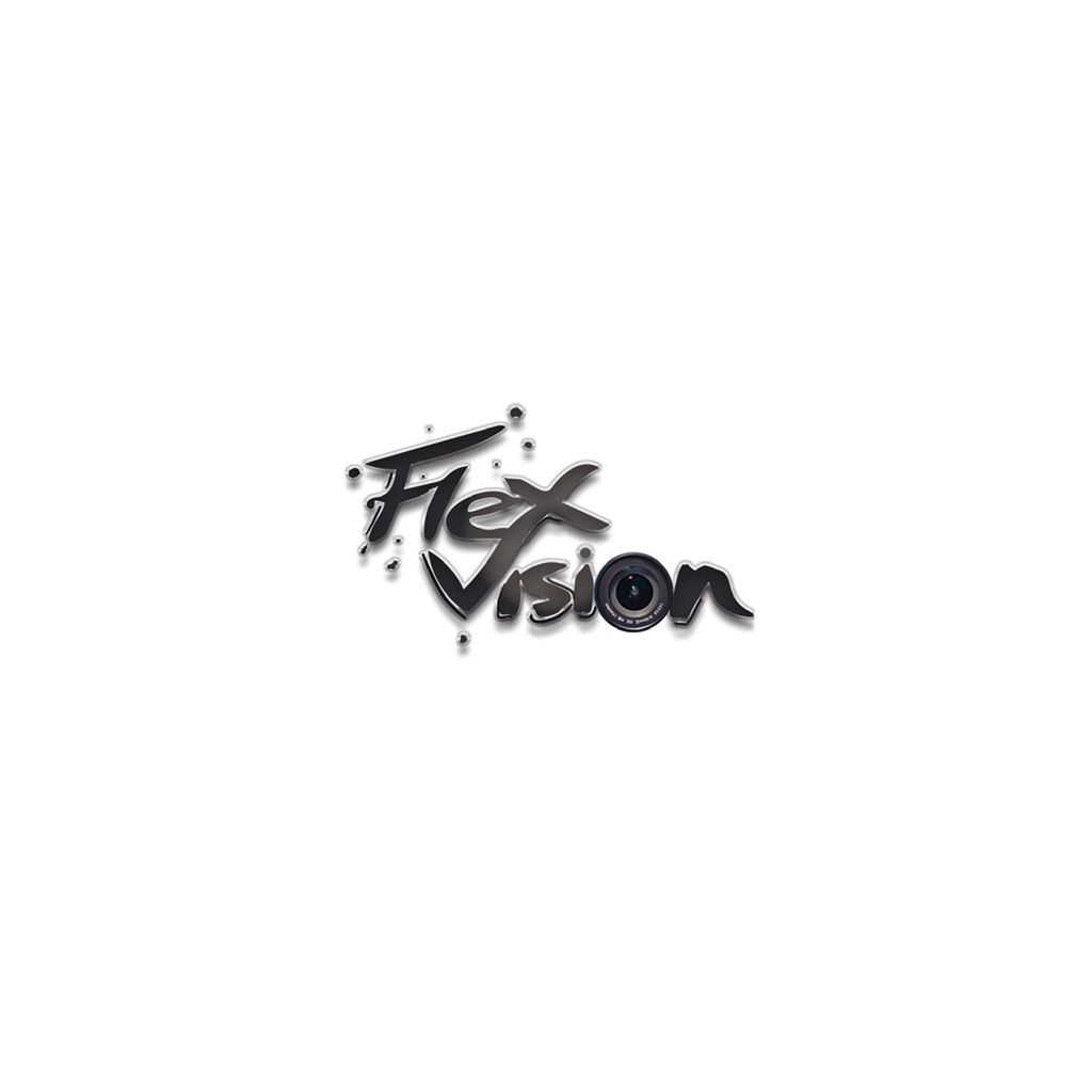 FlexVision