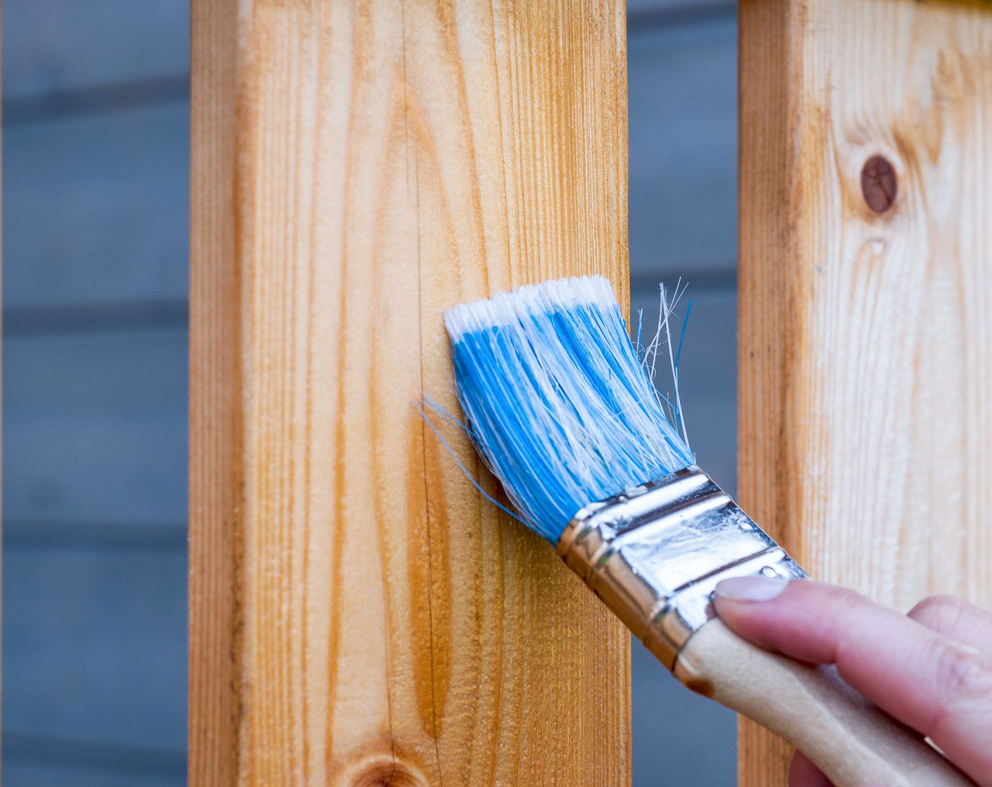 painting a wooden fence