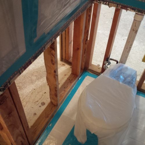 Mold Remediation Residential