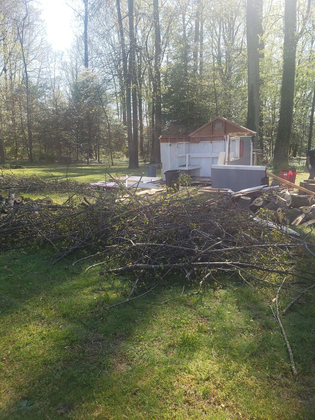 Shed and backyard clean up Smyrna, DE