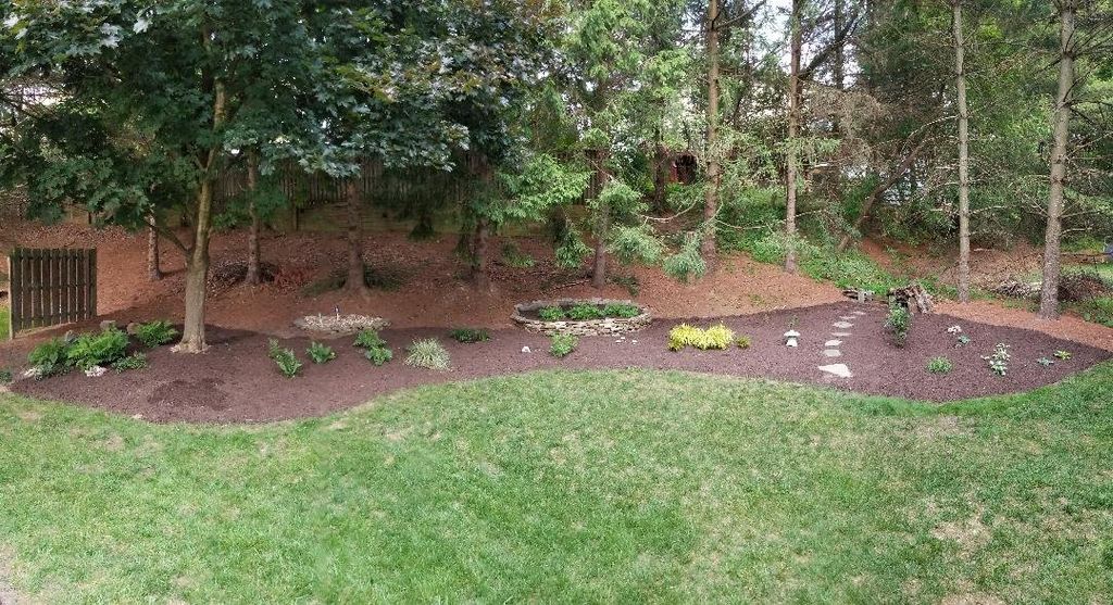 Edging and bulk mulching job was great. Our yard i