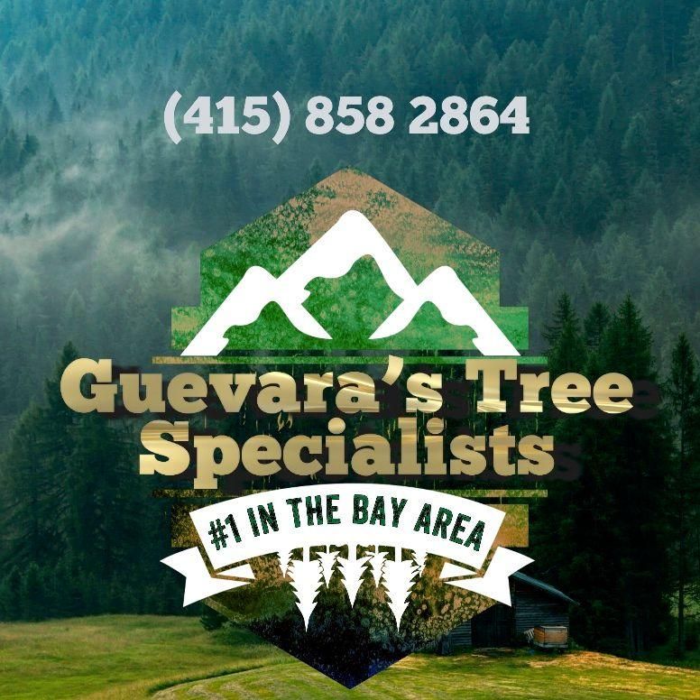 Guevara Tree Specialists