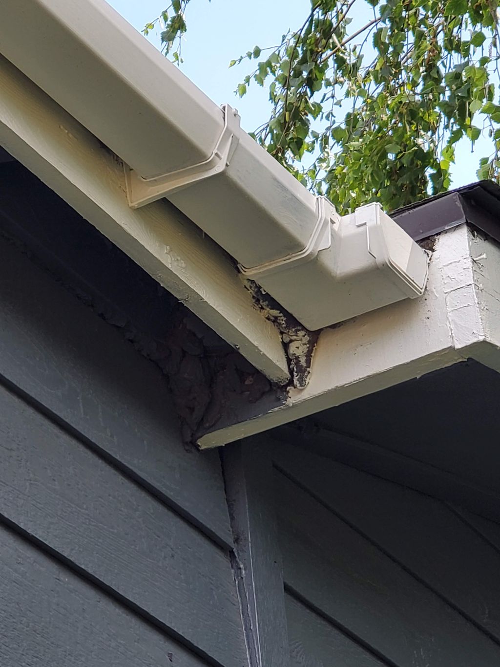 Improprer mounting of gutter.  Water drains behind