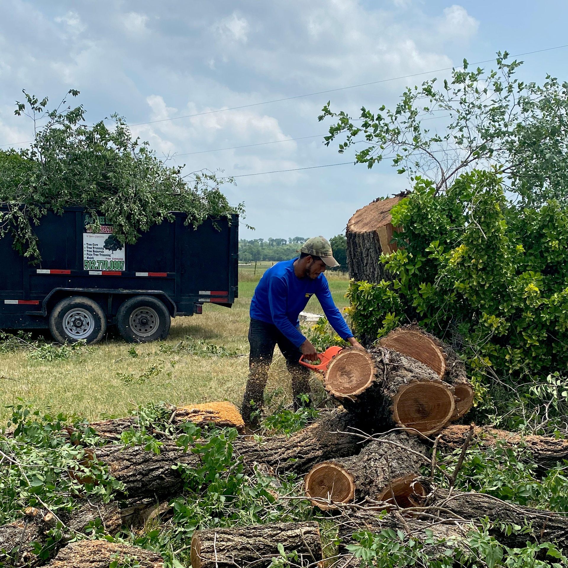 Jose Tree Service Austin, TX Thumbtack
